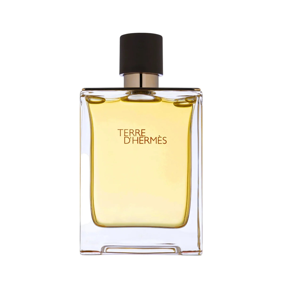 Bočica parfem Hermes Terre d'Hermes 100ml muški